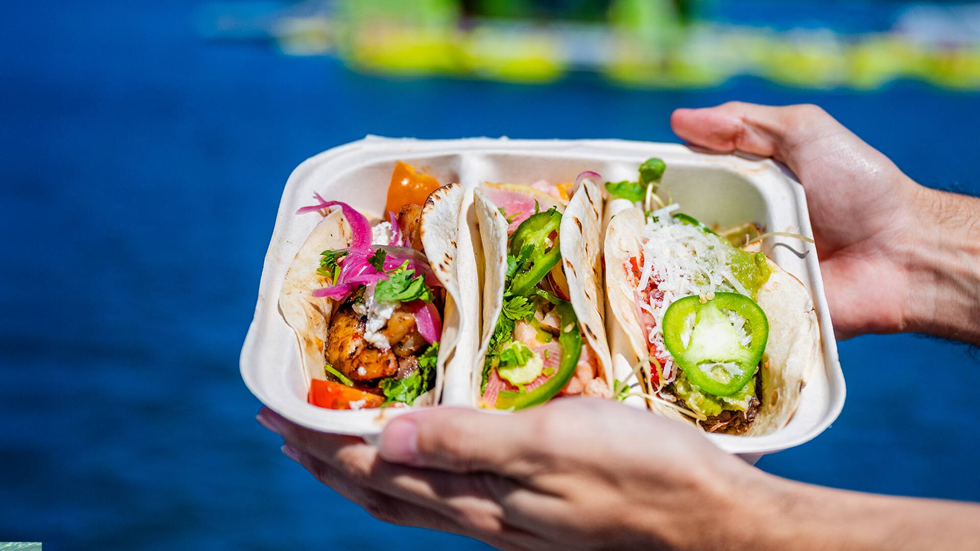 The Red Collection - Turtles & Tacos Luxury Snorkeling Experience